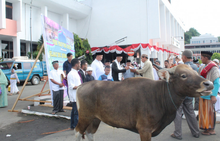 Pemprov Serahkan 37 Ekor Sapi Qurban